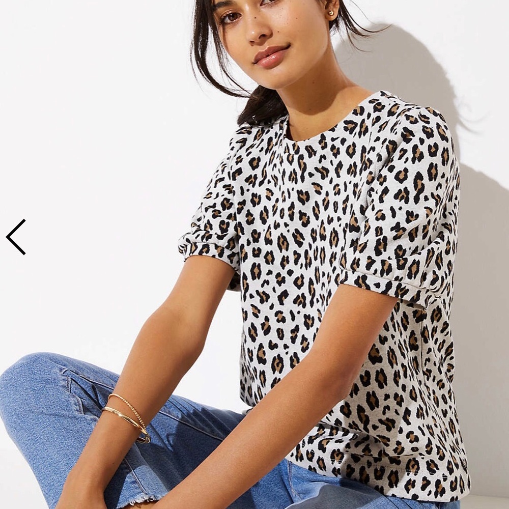 Loft leopard print knit puff sleeve top- NEW